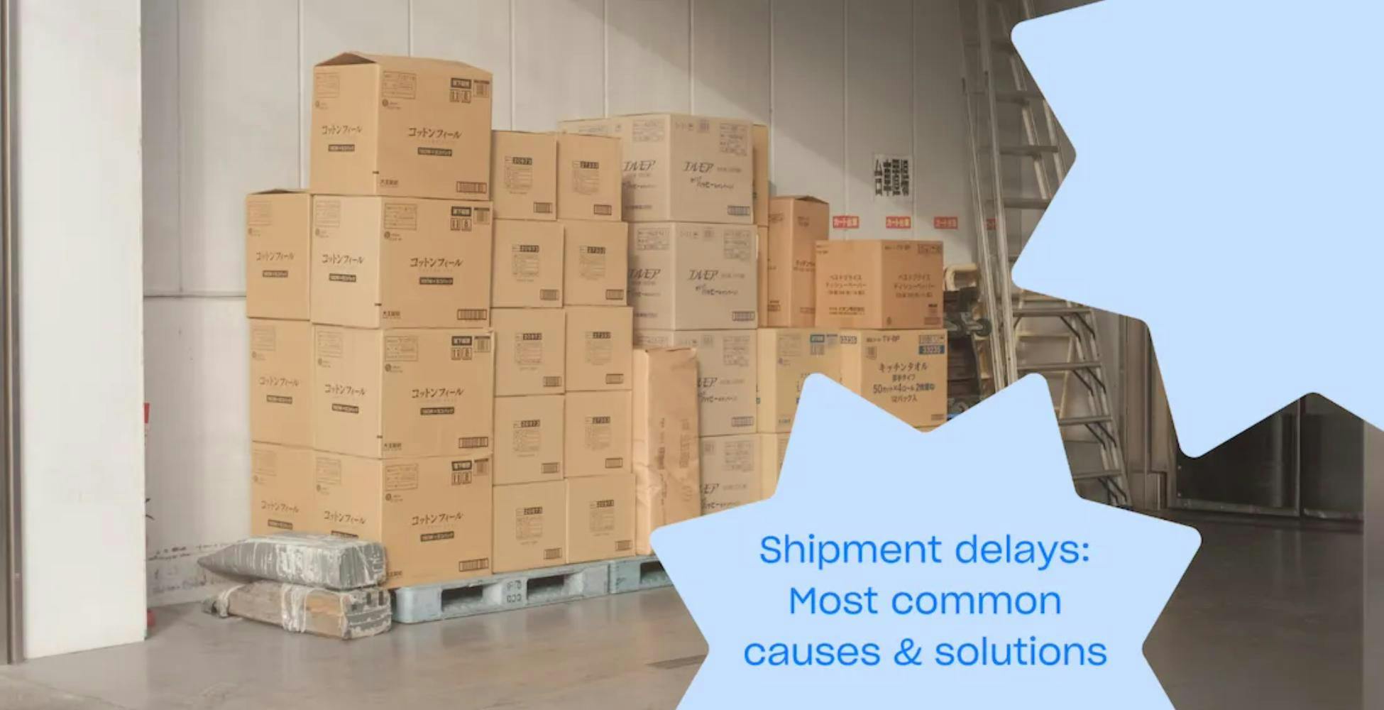 shipment delays common causes solutions